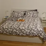 Apartament Giulio Vi